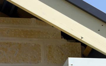 soffit repair Freehay